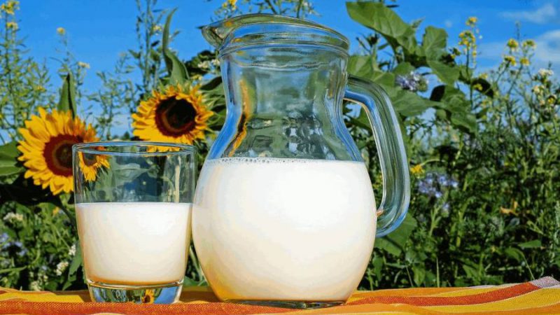 Pflanzendrinks – wie gesund sind die Milch-Alternativen?